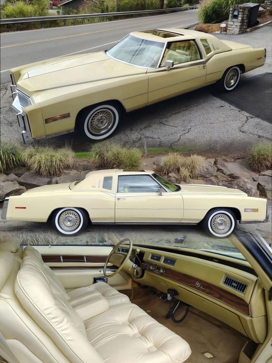 Johnny Cadillac tweet media