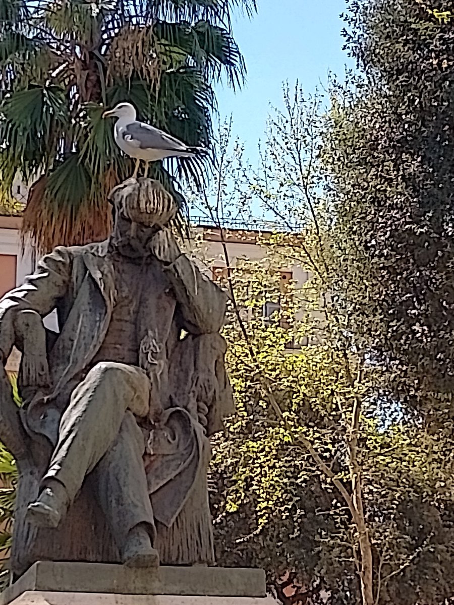 Massimo Marotti tweet media