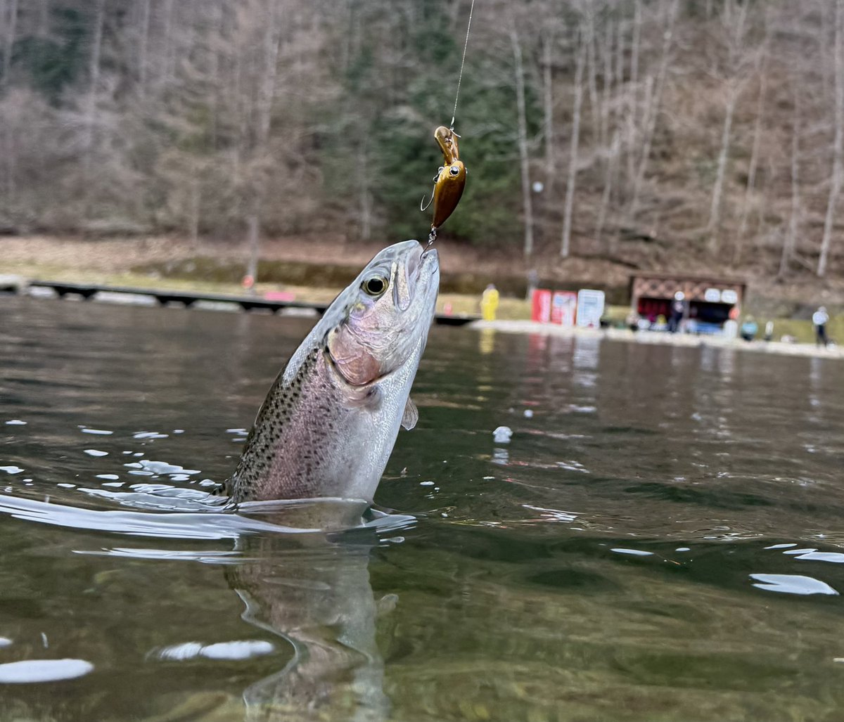 ポンテーン tweet media