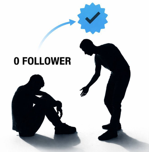 Bear Theory tweet media