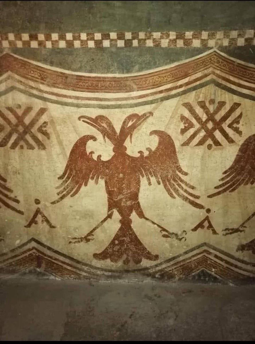 Flloki🛸 tweet media