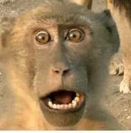 Takudzwa Kachote tweet media