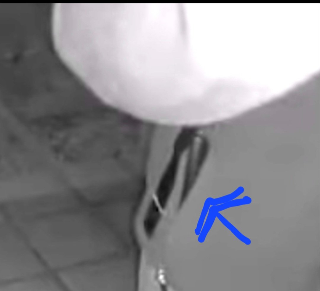 Jennifer Coffindaffer tweet media