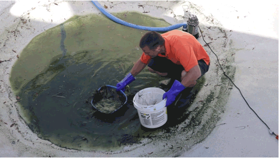 Tim Ryan 🦝 tweet media