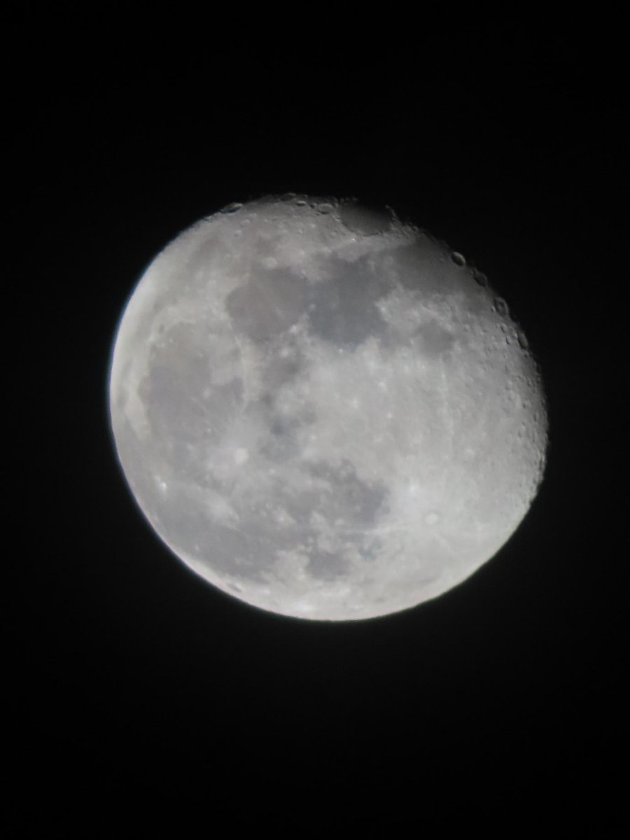 elisa⚢ tweet media