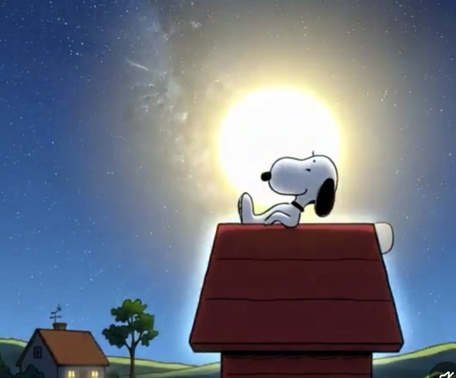 Patricia Cornwell tweet media