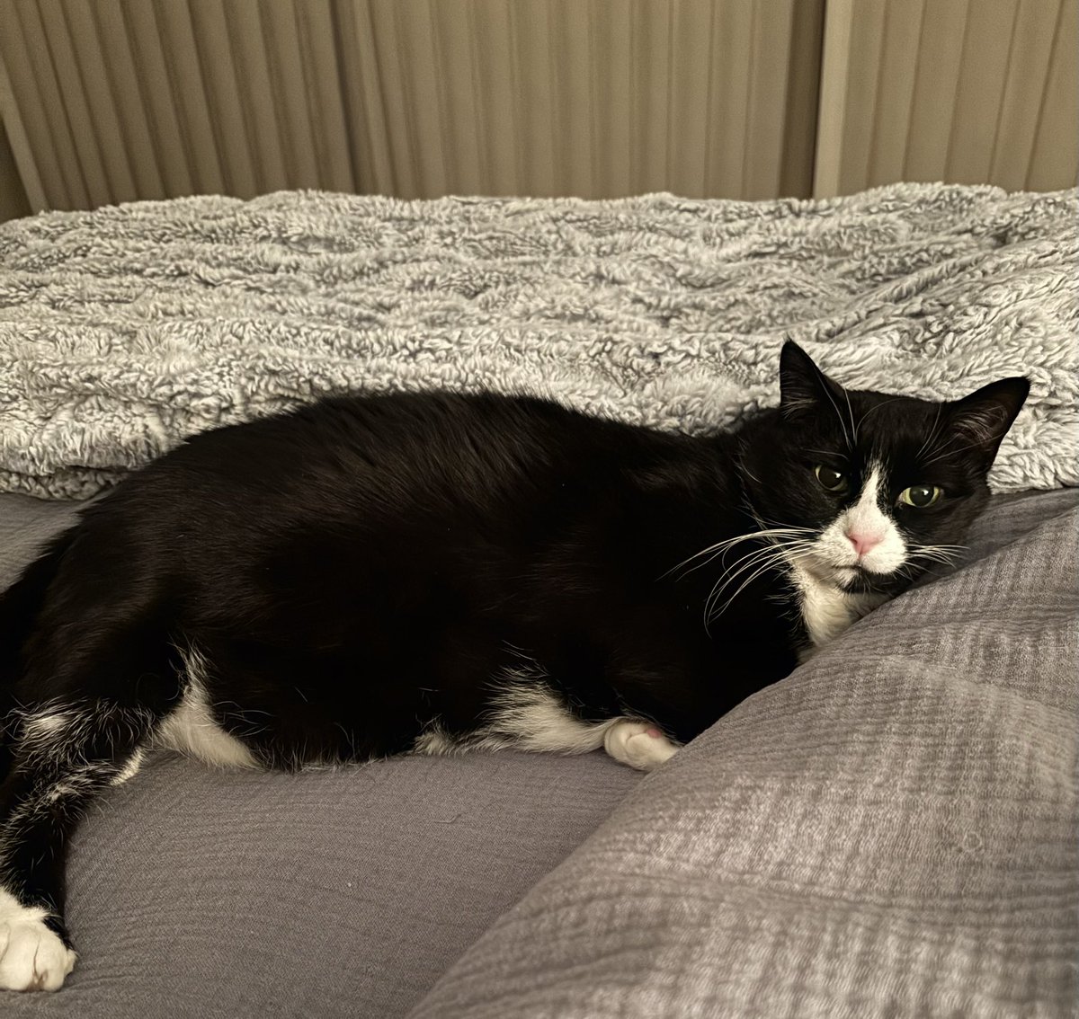 Wendi Taylor Nations tweet media