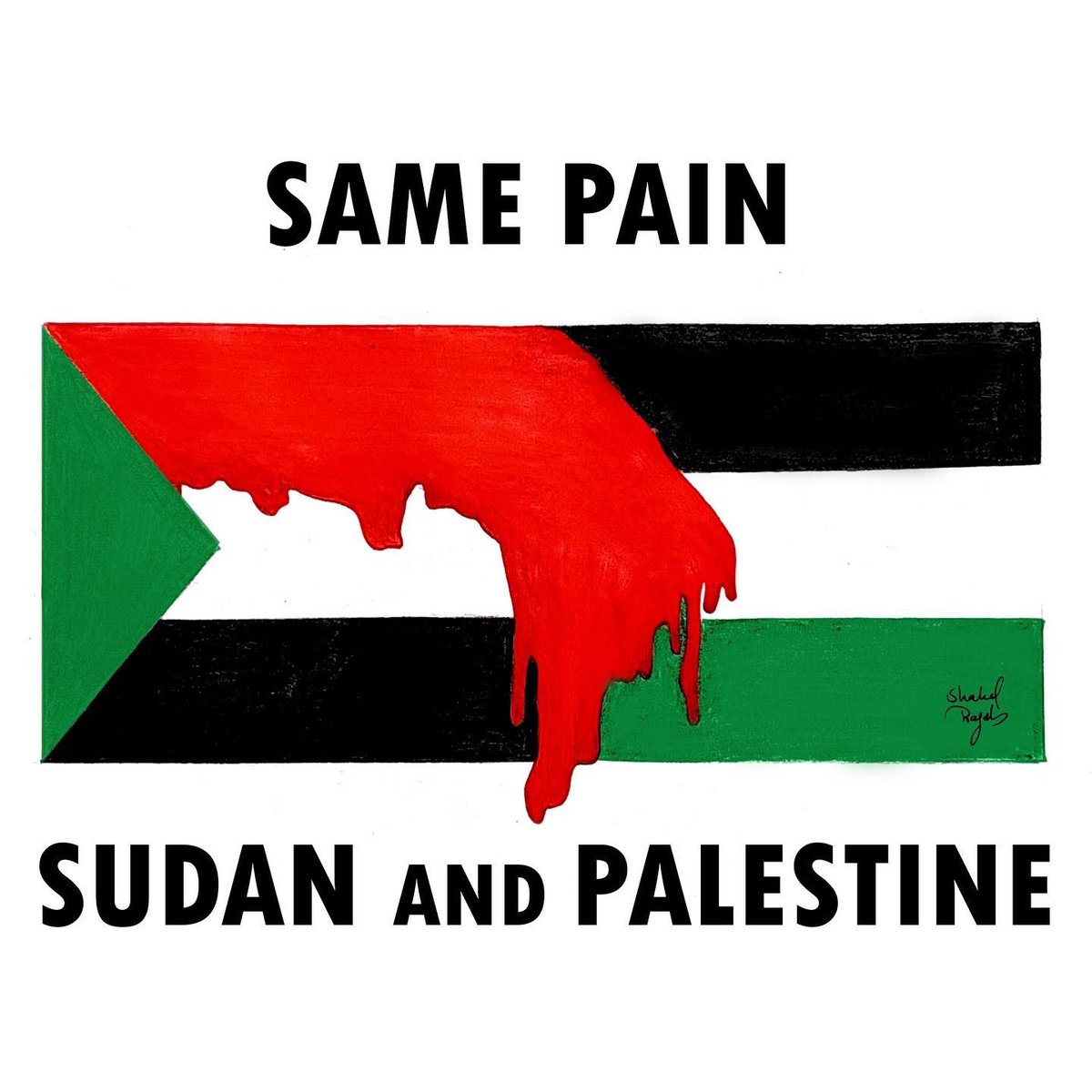 The Palestinian tweet media