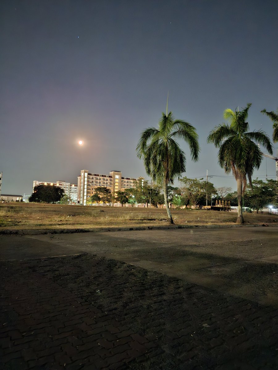 NamamasaFukiko tweet media