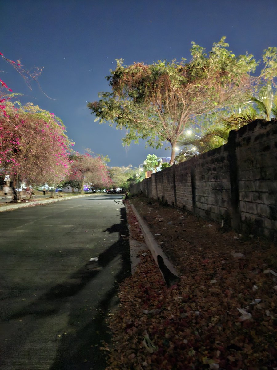 NamamasaFukiko tweet media