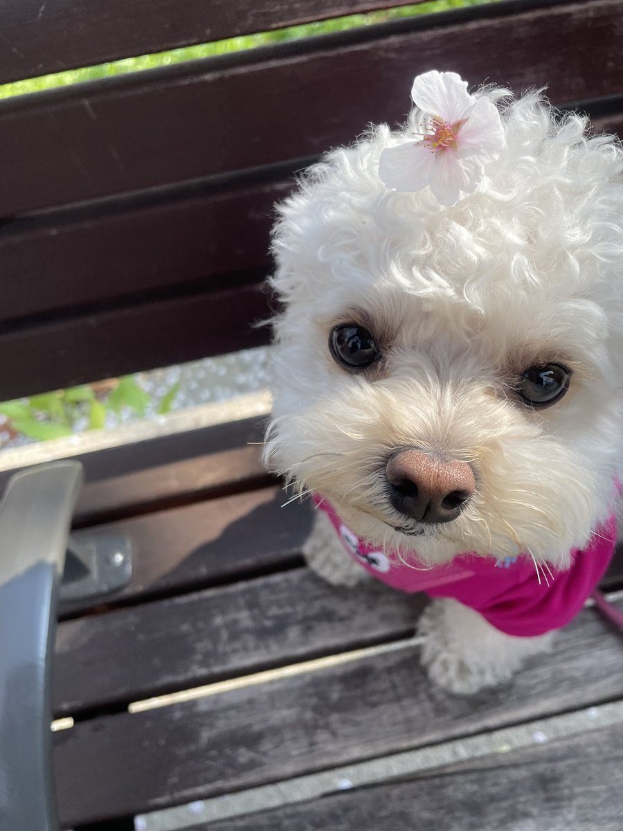 최밥풀 tweet media