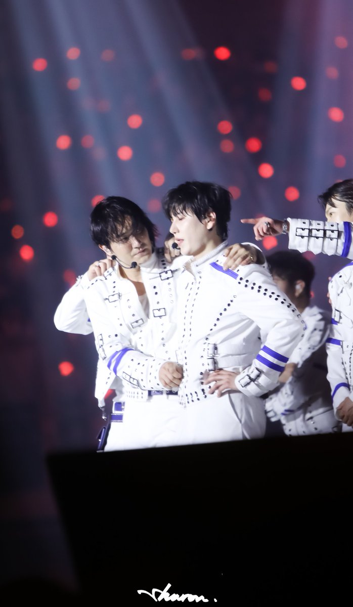 Geniepig203 tweet media