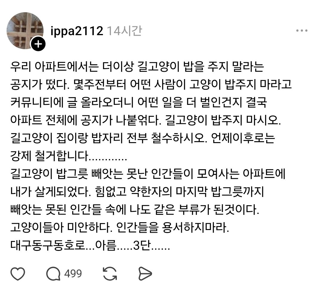 🥑hollymolly🥑 tweet media