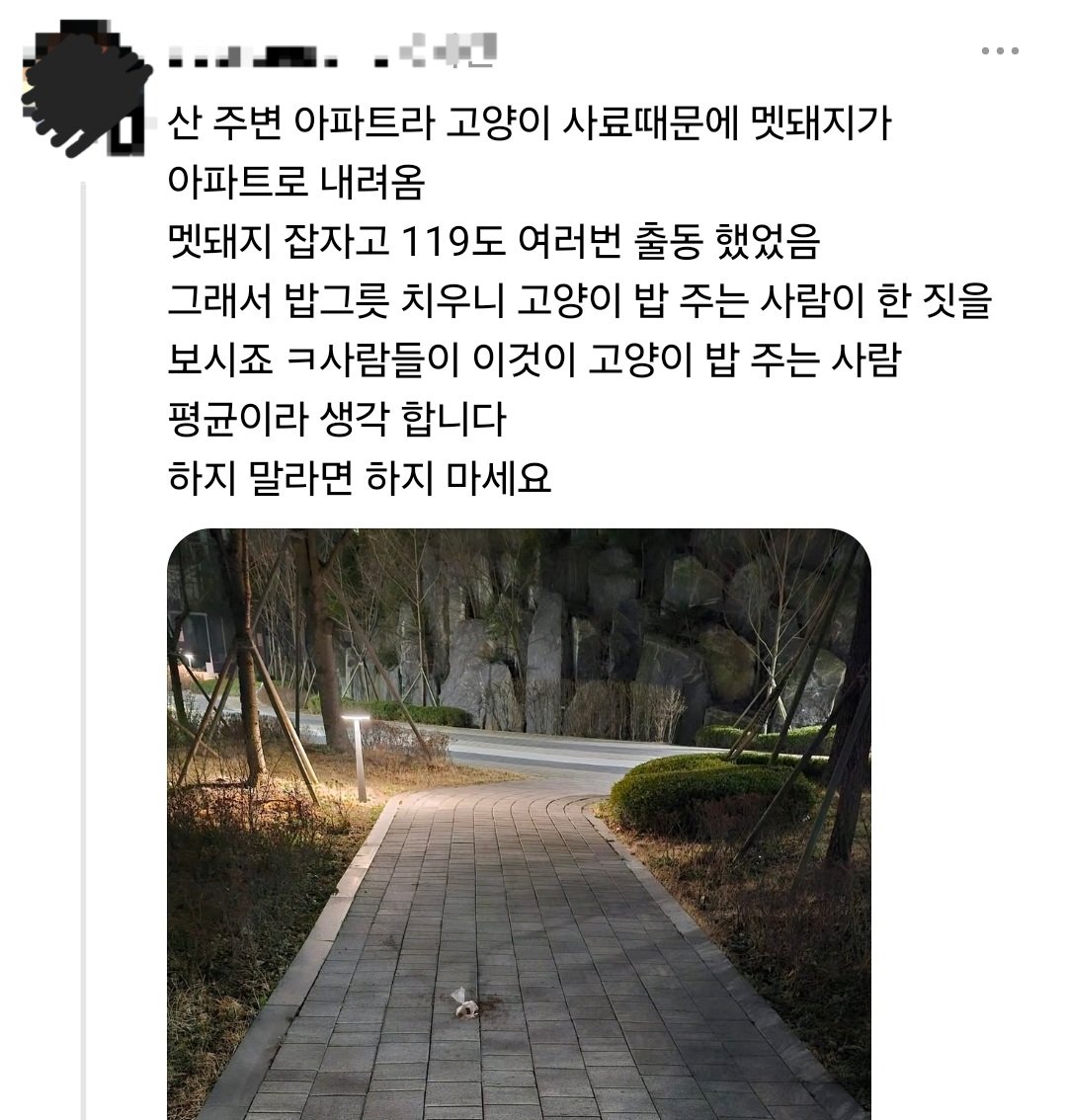 🥑hollymolly🥑 tweet media