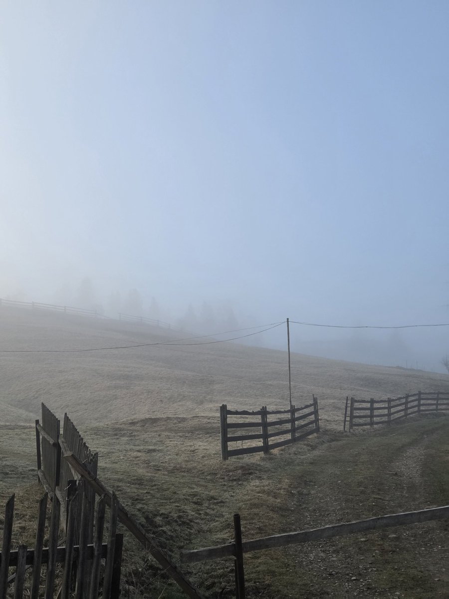 іон гідроксонію tweet media