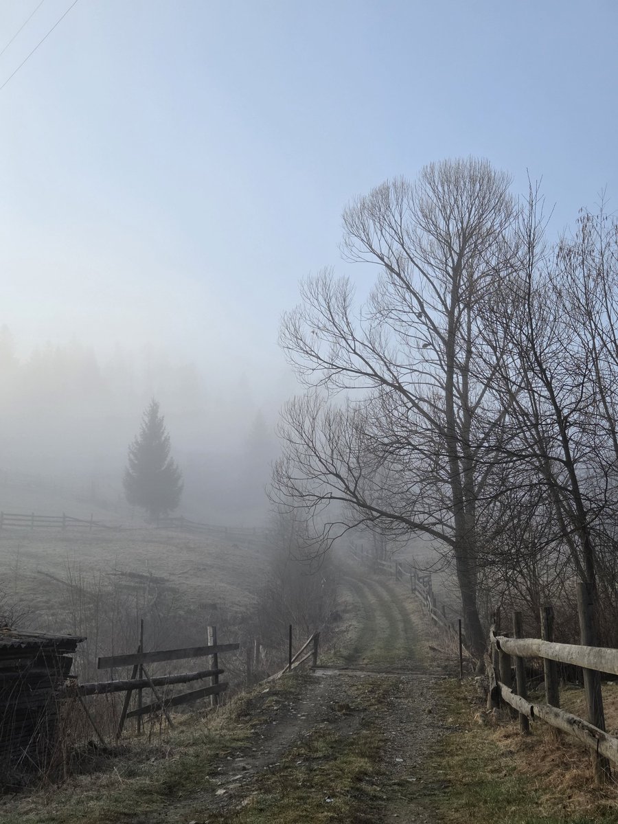 іон гідроксонію tweet media