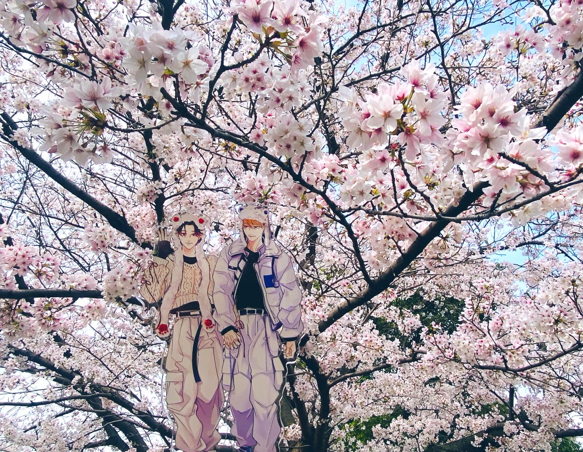 nanan🤜㊗︎🛹S2・OVA🤛 tweet media