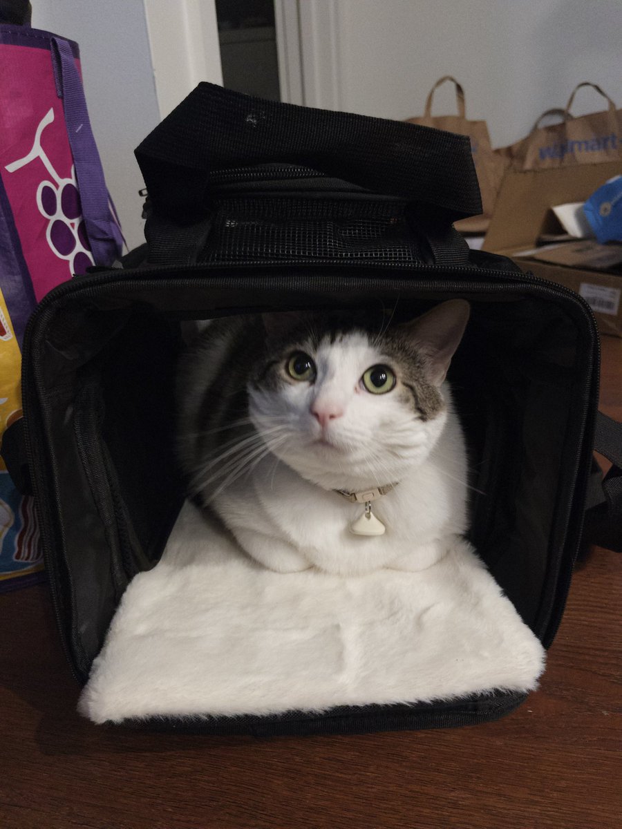 chance1084059's tweet image. Look what dad got me #thanksdad #newcarrier