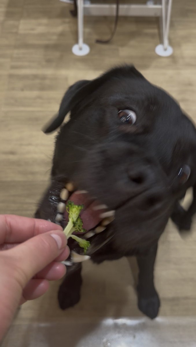 埼玉のスバル🐕‍🦺SUBARU tweet media