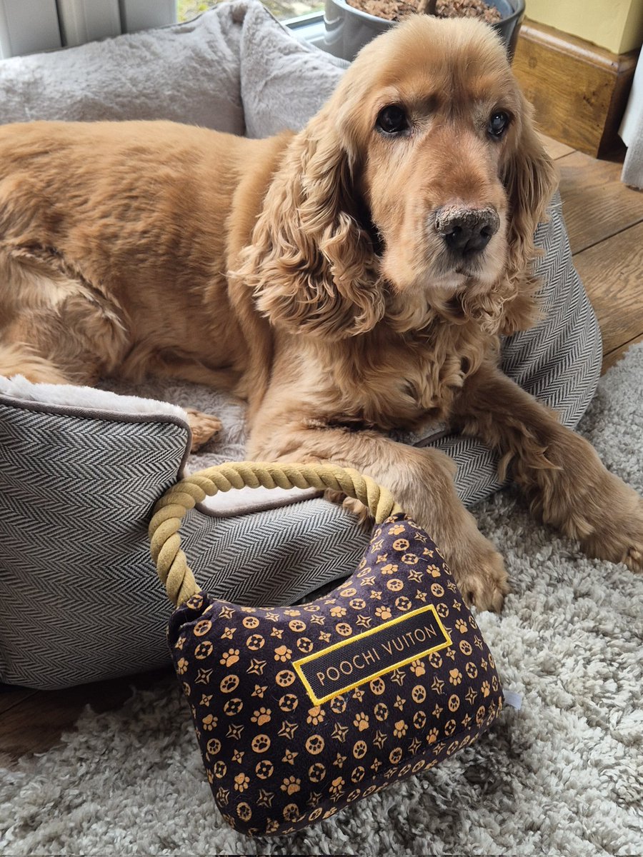 K💜Z_v2✨️ tweet media