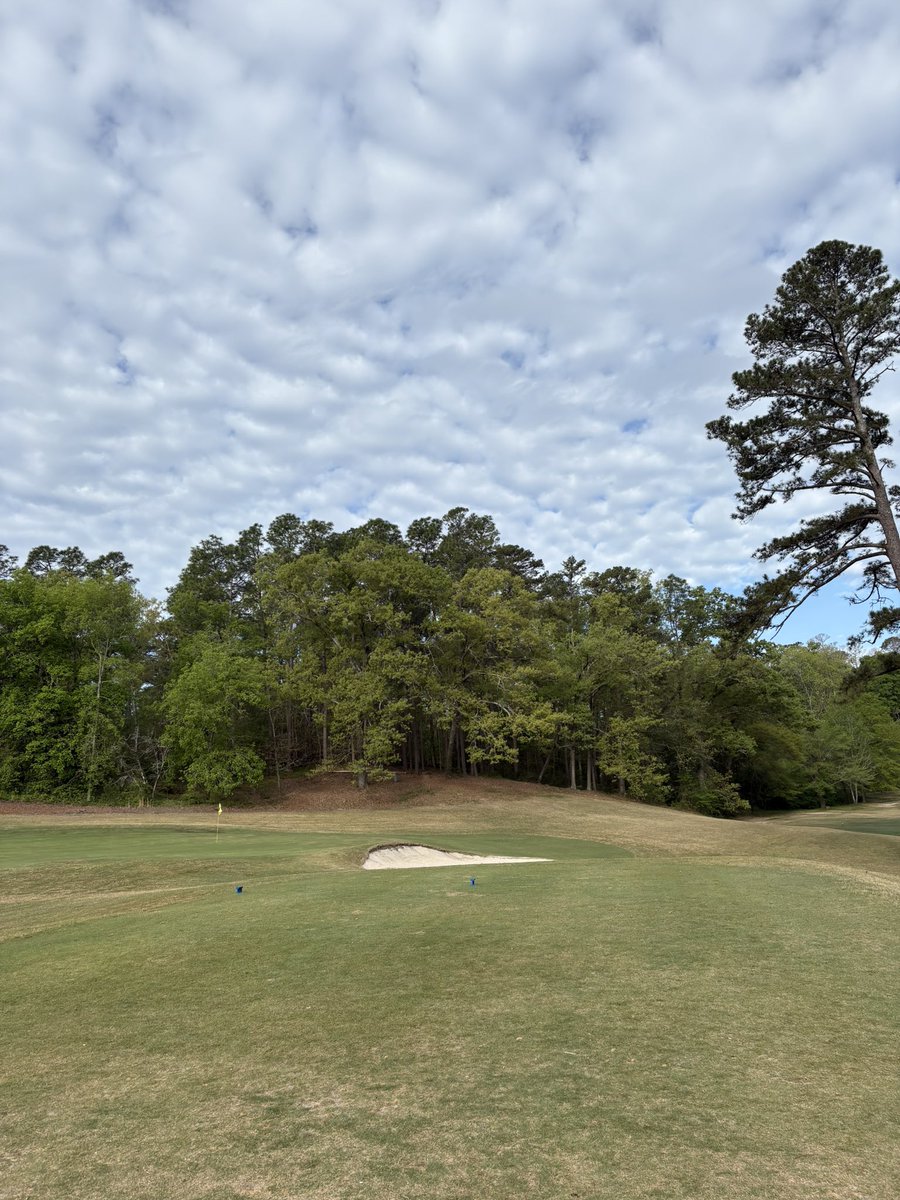 Christiaan Bezuidenholeout tweet media