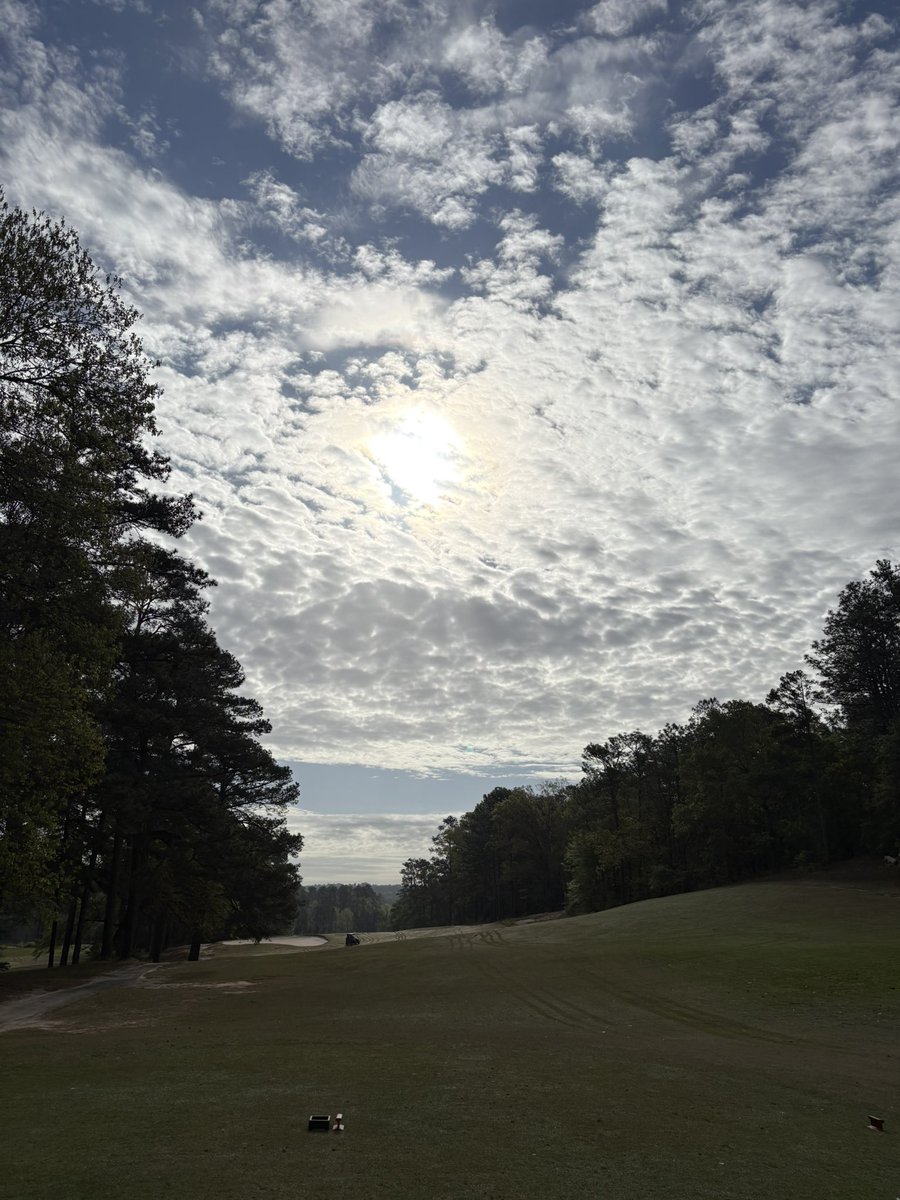 Christiaan Bezuidenholeout tweet media