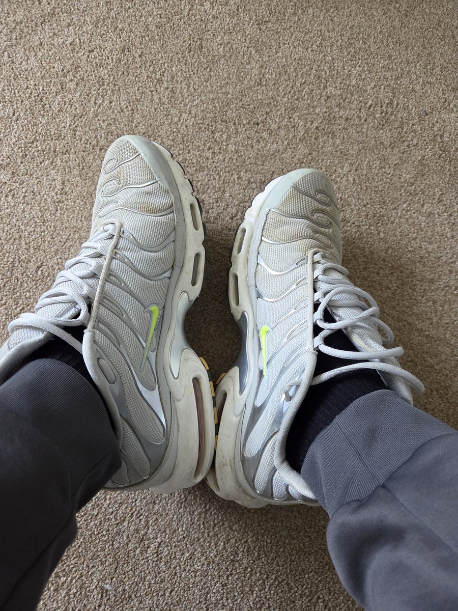 Johnfive biker dog tweet media