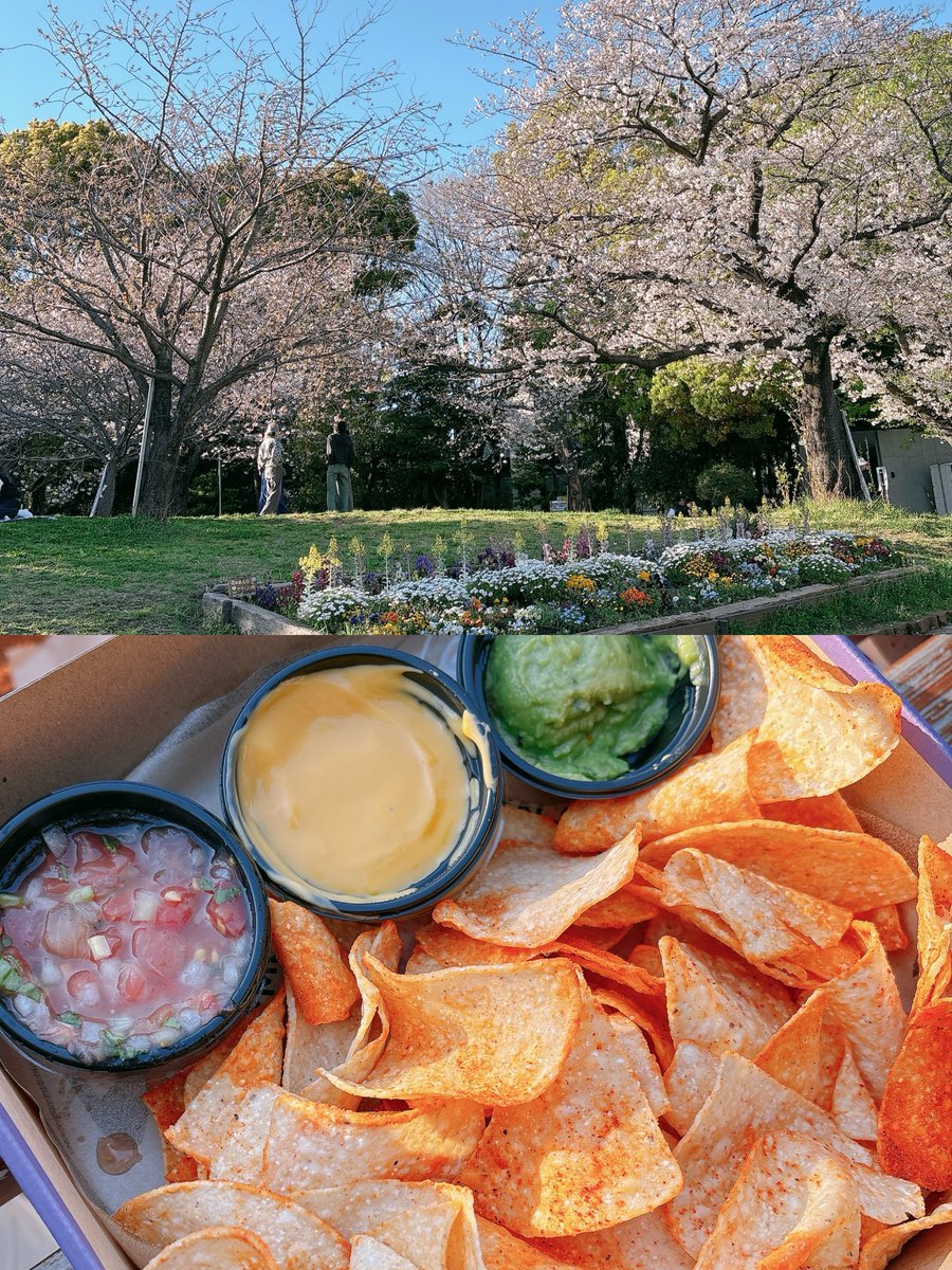 集貝 はな tweet media