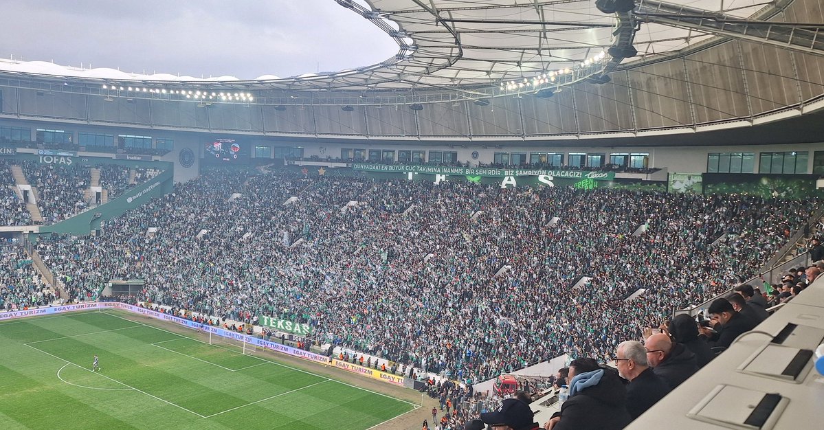 Pelin Koç tweet media