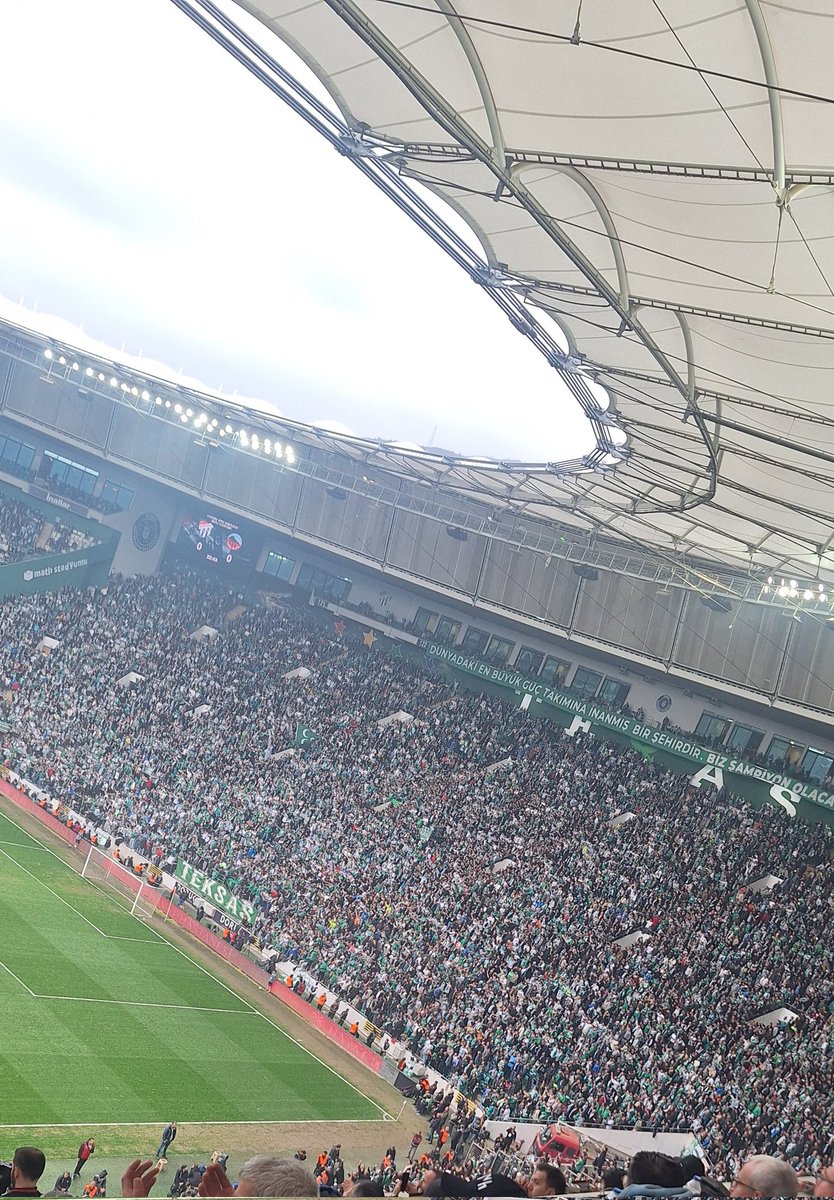 Pelin Koç tweet media