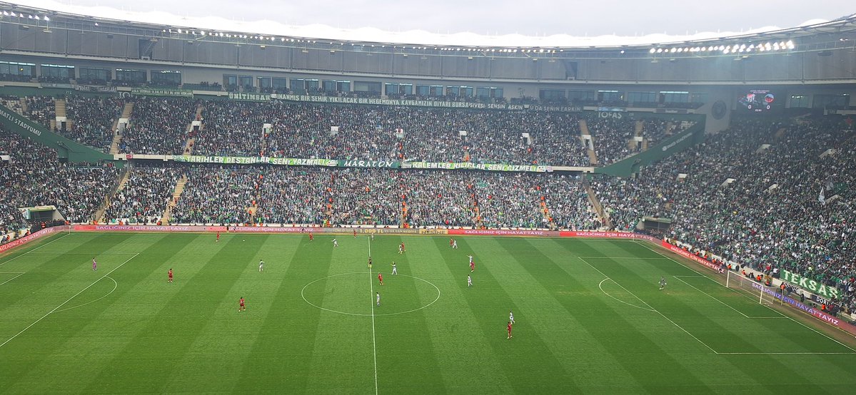 Pelin Koç tweet media