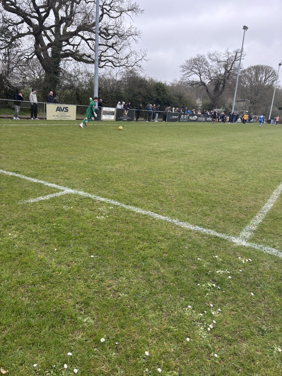 New Forest Groundhopper tweet media