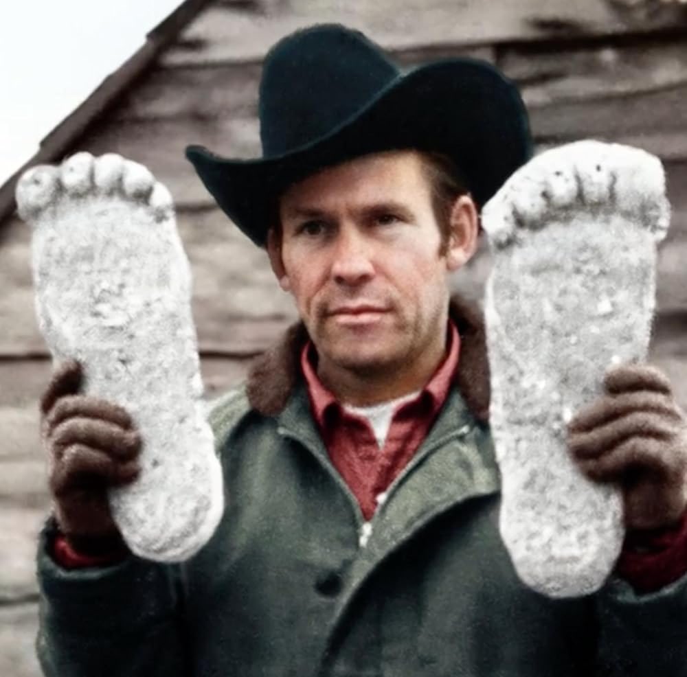 Bugs Finds Bigfoot 👣🪶 tweet media