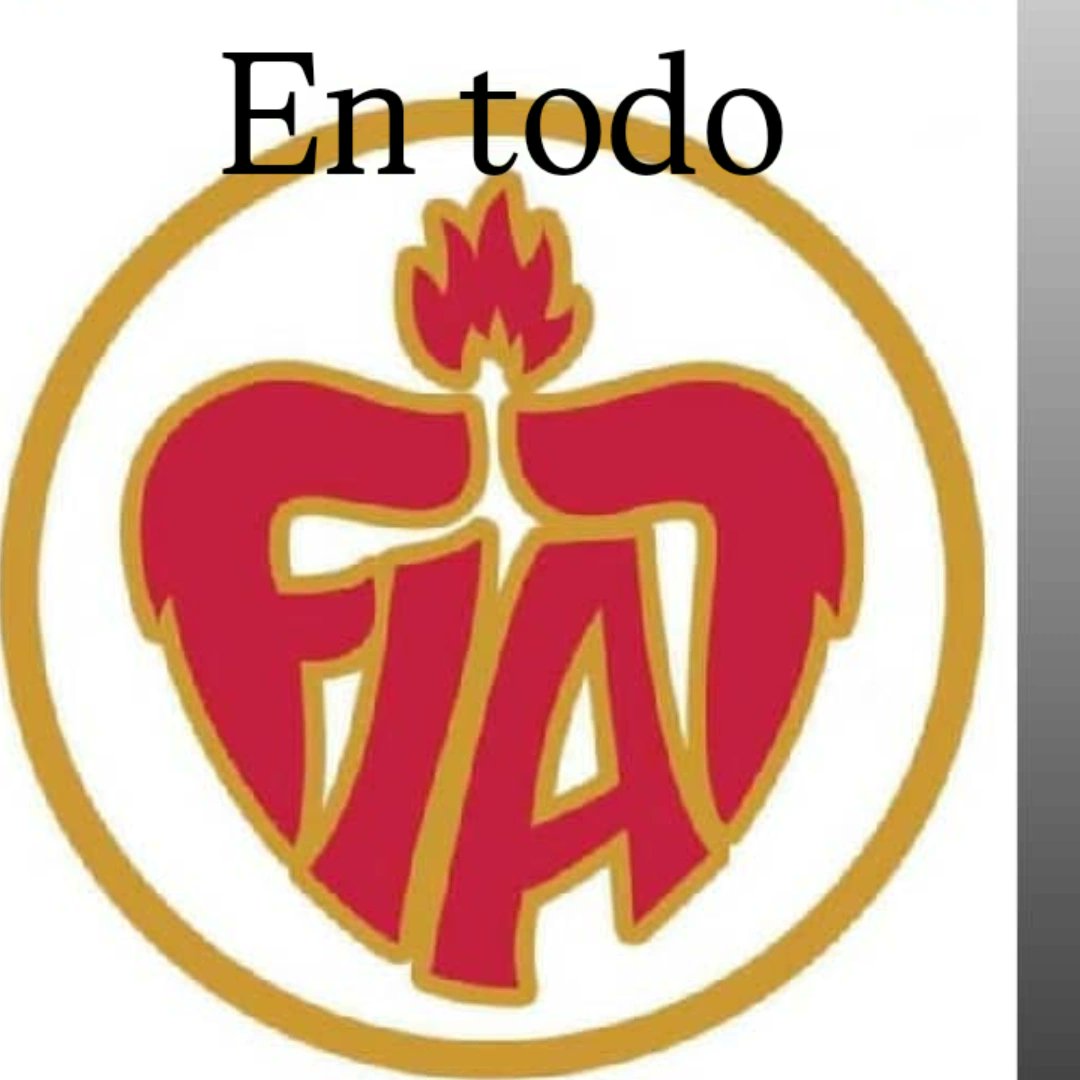 DIVINA VOLUNTAD tweet media