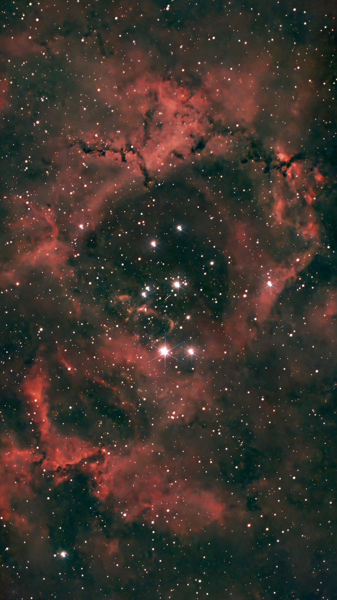 ── .✦ 𝑅𝑒𝓃. 🪐 tweet media