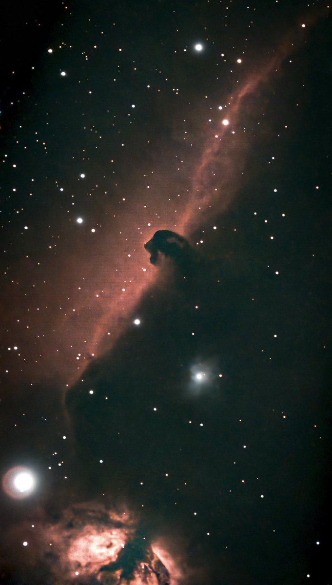 ── .✦ 𝑅𝑒𝓃. 🪐 tweet media