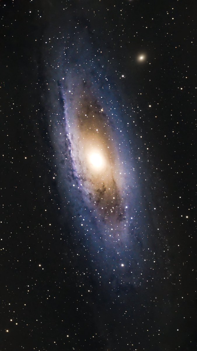 ── .✦ 𝑅𝑒𝓃. 🪐 tweet media