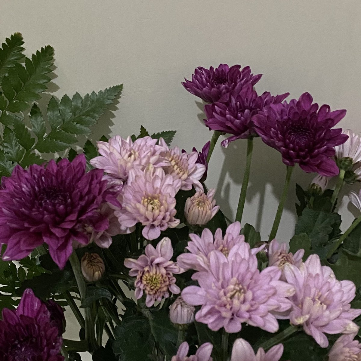 Khusna Furoida tweet media