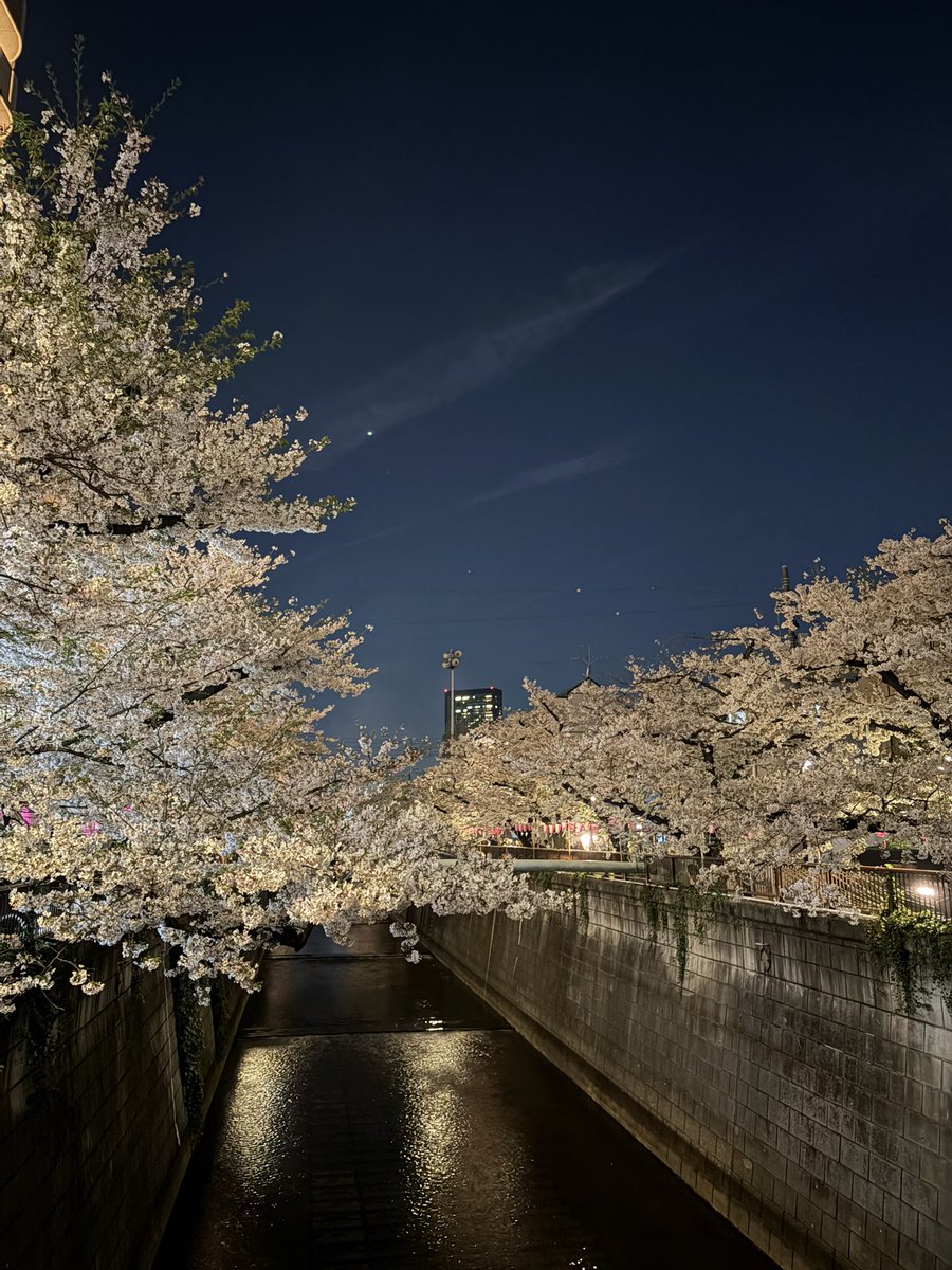 Kumiko_Infinity's tweet photo. 昇竜🐲っぽい2026年4月3日の夜空✨
明日は晴れるといいな！🌸
#中目黒 https://t.co/9xF096d0sr
