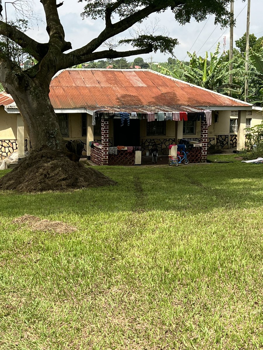 Madam CEO 🇺🇬 tweet media