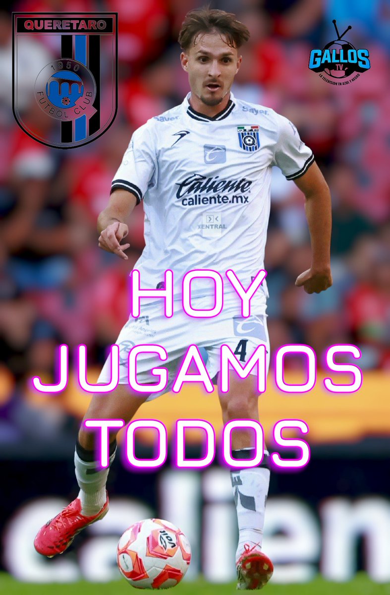 GallosTV tweet media