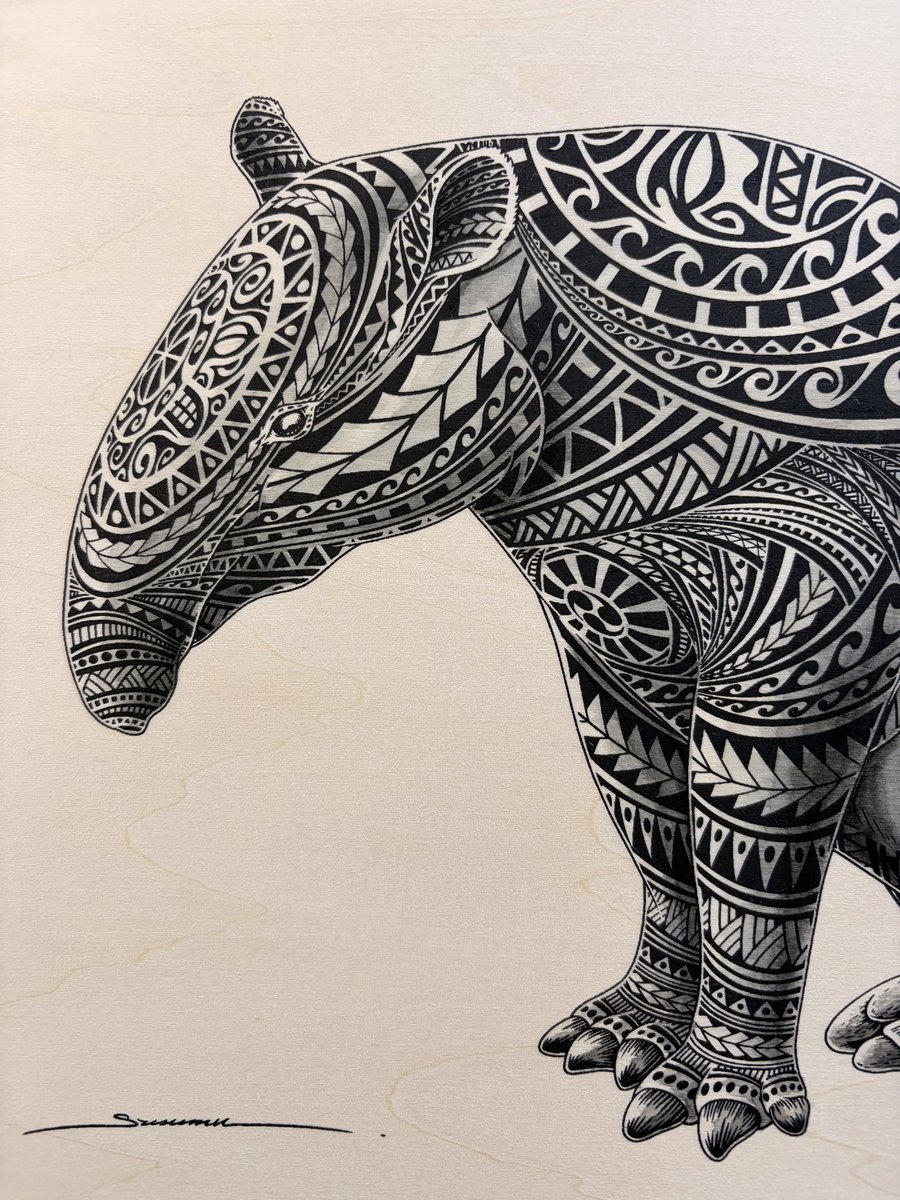 ◉ susumu ◉ tweet media