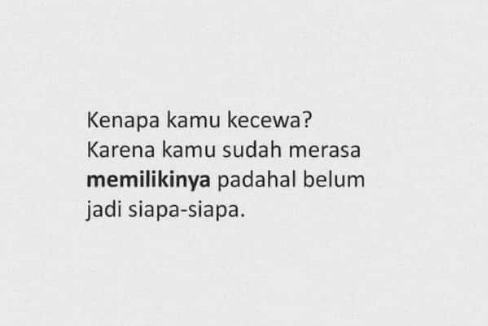 Ice Bear tweet media