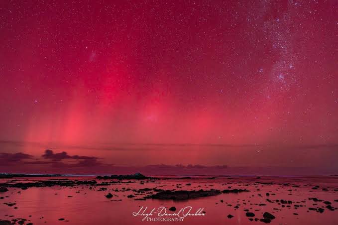 Cured Catfish Claudia tweet media