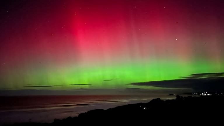 Cured Catfish Claudia tweet media