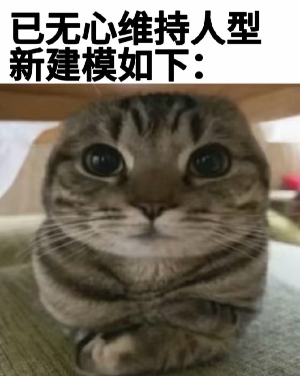 初代小猫 tweet media