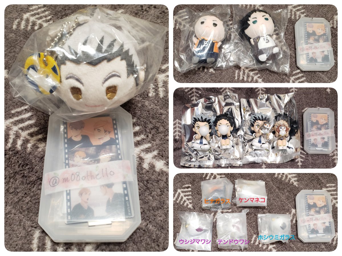 マイマイ♪プロフカード有♪ tweet media