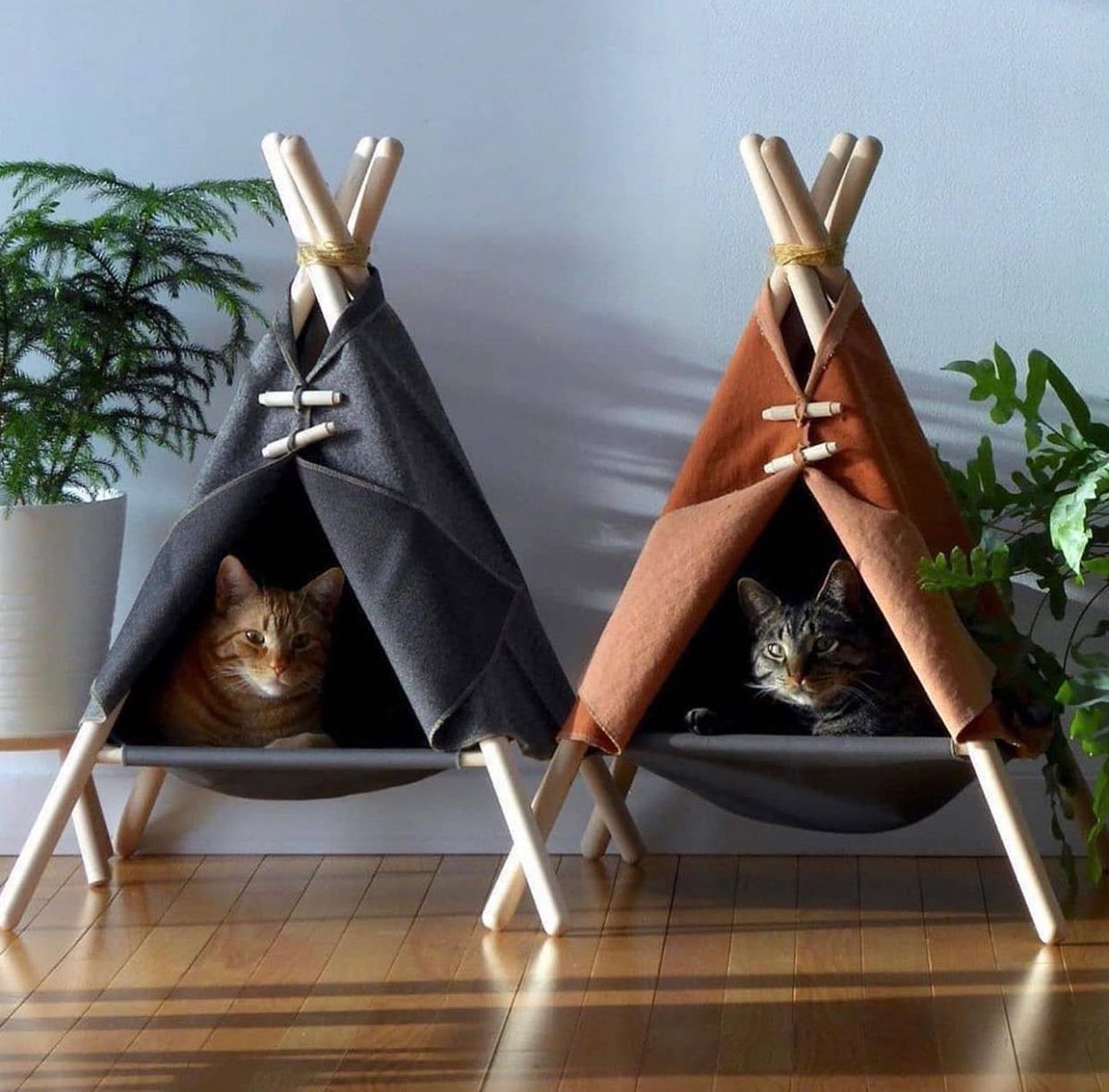 interiorstellar tweet media