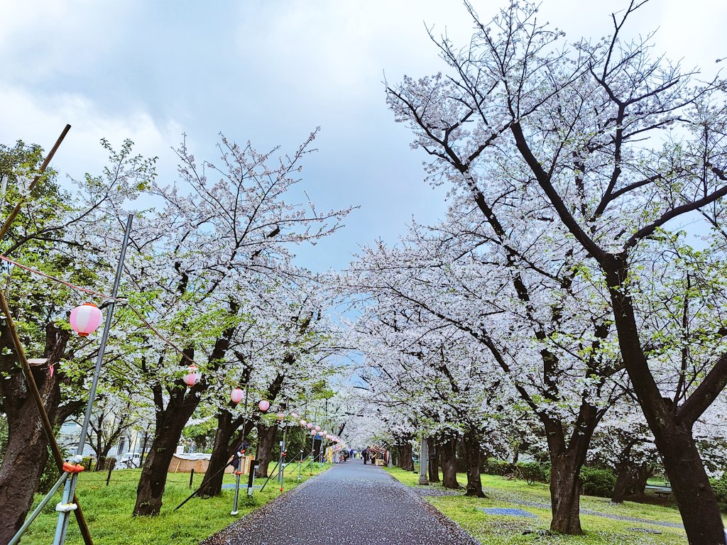 dama__'s tweet photo. 本日のスプリングトロフィーをもってわたしの今シーズンの⛸️任務も終了だーーーい！今年も大変お世話になりました…😌🌸 https://t.co/PGMjde2YjY