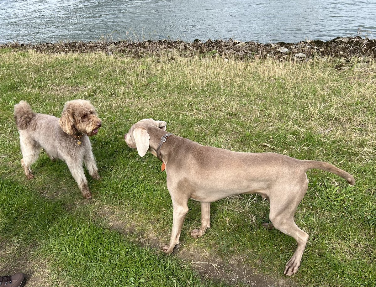 Sander Kerkhof tweet media